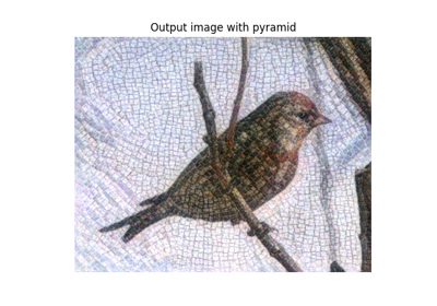 Image optimization with pyramid