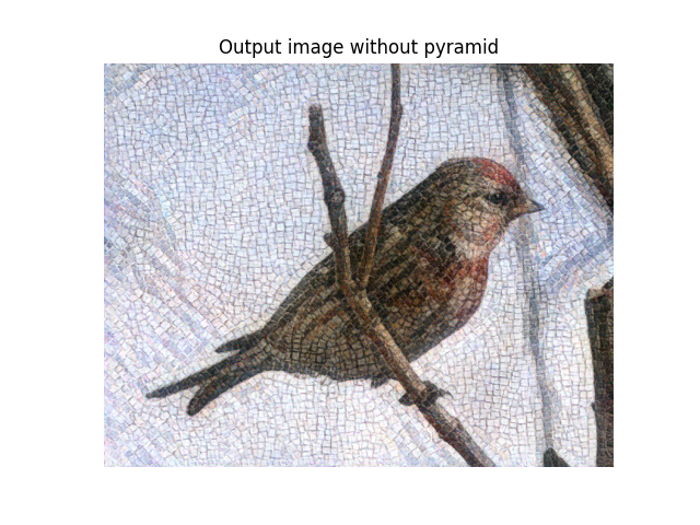 Output image without pyramid